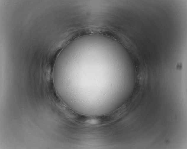 X0000113090610200909182115