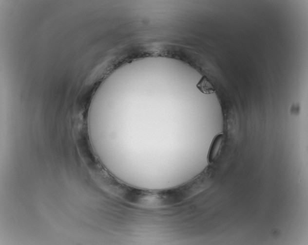 X0000113090611200909182115