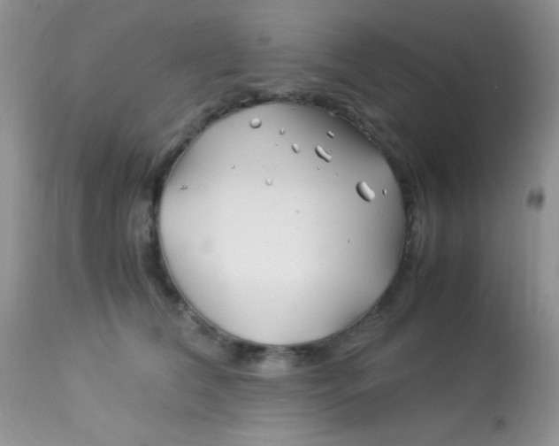 X0000113090612200909182115