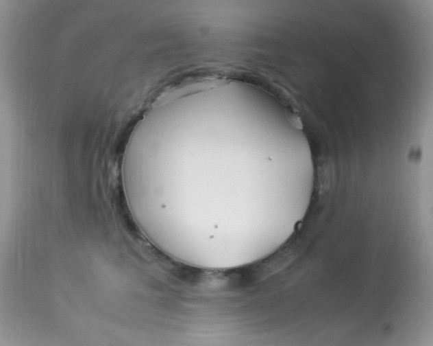 X0000113090613200909182115