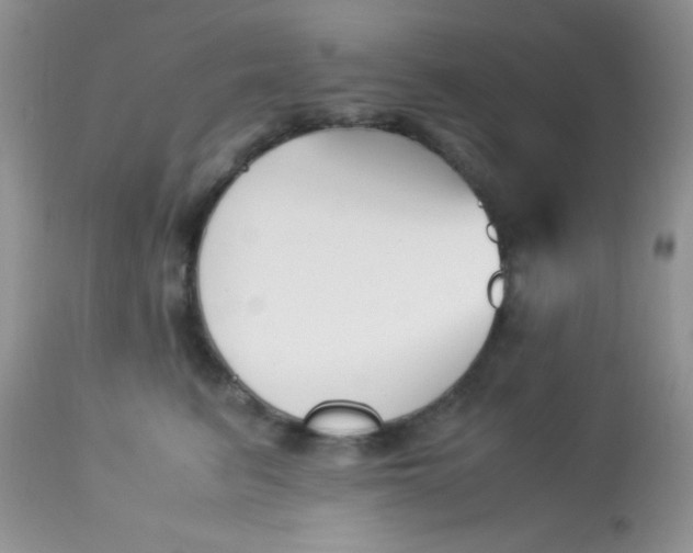 X0000113090615200909182115