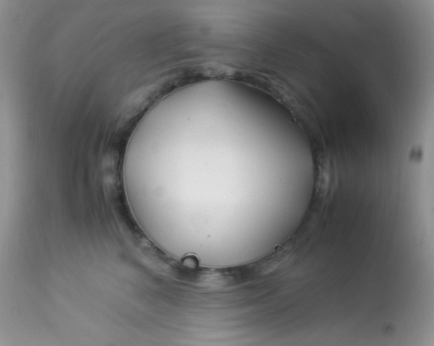 X0000113090616200909182115