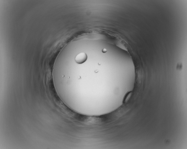 X0000113090617200909182115