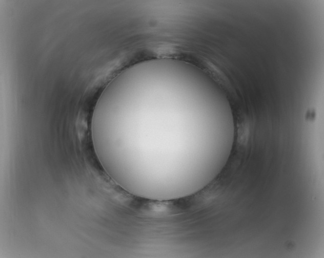 X0000113090618200909182115