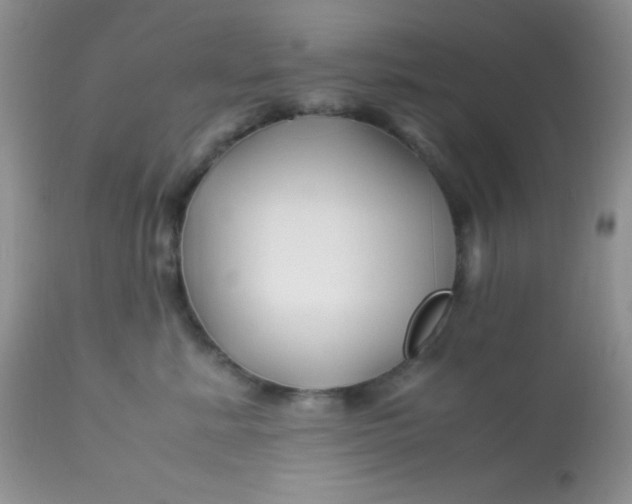 X0000113090619200909182115