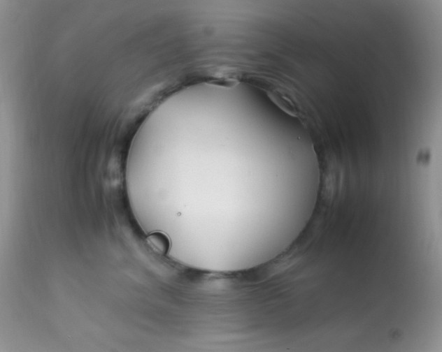 X0000113090620200909182115