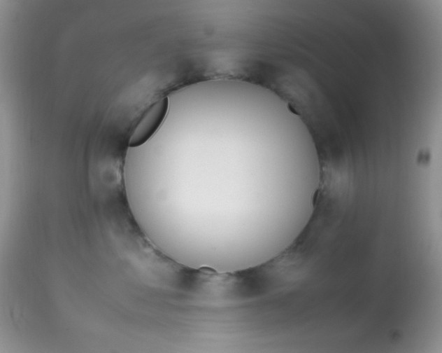 X0000113090621200909182115