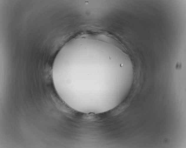 X0000113090624200909182115