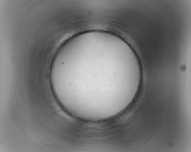 X0000113090625200909182114