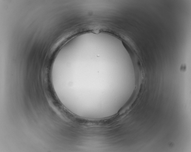 X0000113090626200909182114