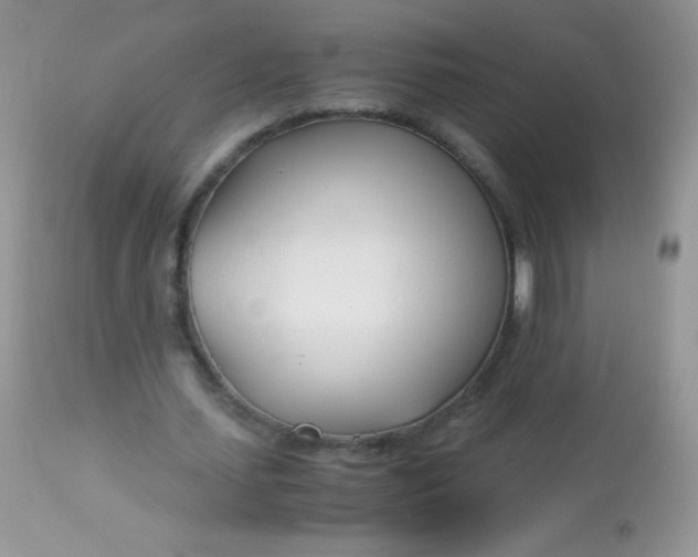 X0000113090627200909182114