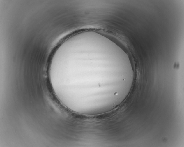 X0000113090628200909182114