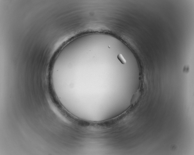 X0000113090630200909182114