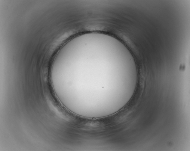 X0000113090631200909182114