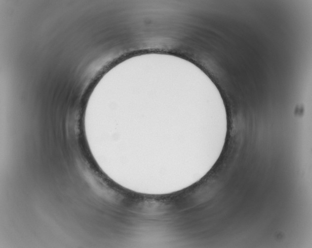 X0000113090632200909182114