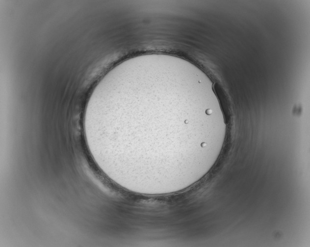 X0000113090633200909182114