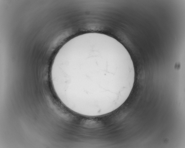 X0000113090635200909182114