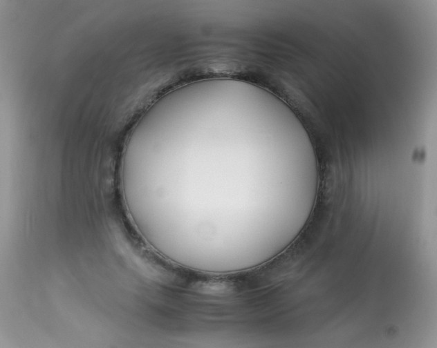 X0000113090639200909182114