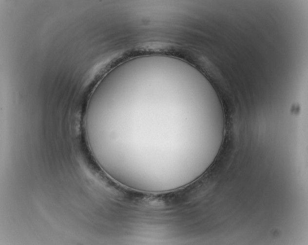 X0000113090640200909182114