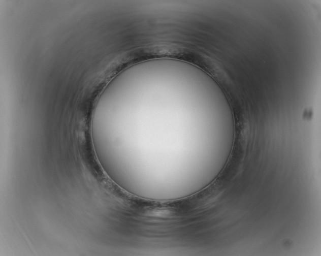 X0000113090643200909182115