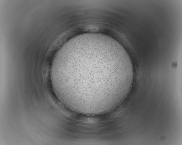 X0000113090645200909182115