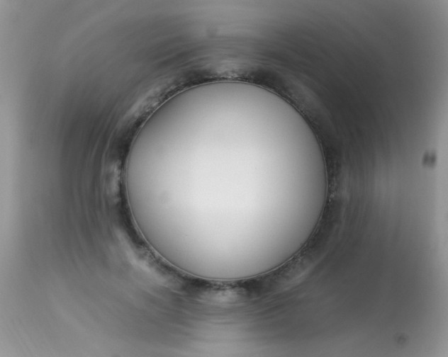 X0000113090646200909182115