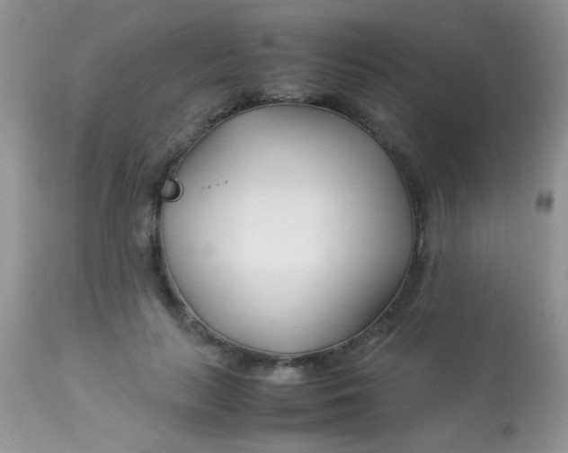 X0000113090647200909182115