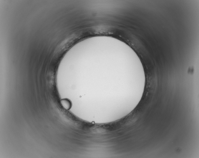 X0000113090648200909182115