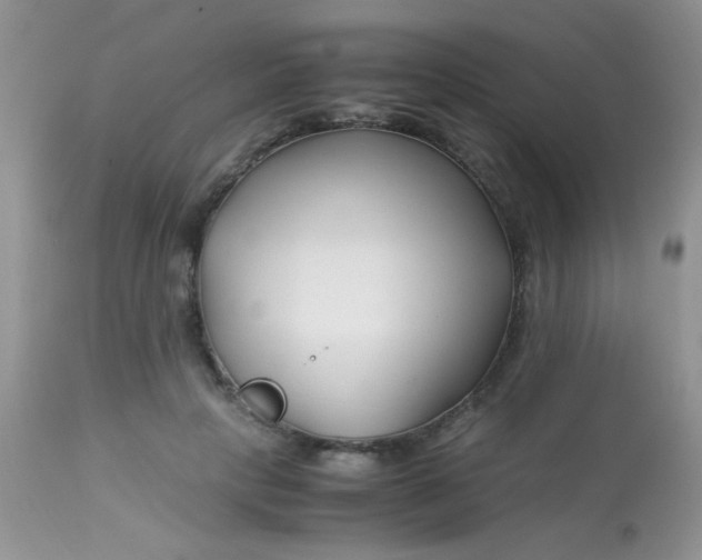 X0000113090649200909182115