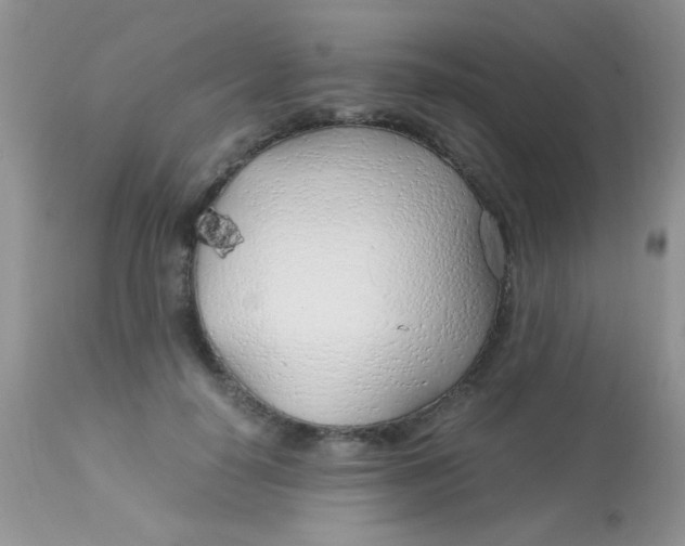 X0000113090650200909182115