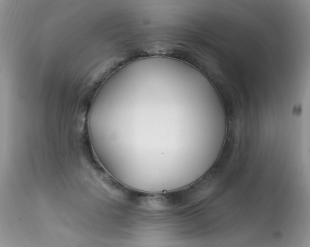 X0000113090652200909182115