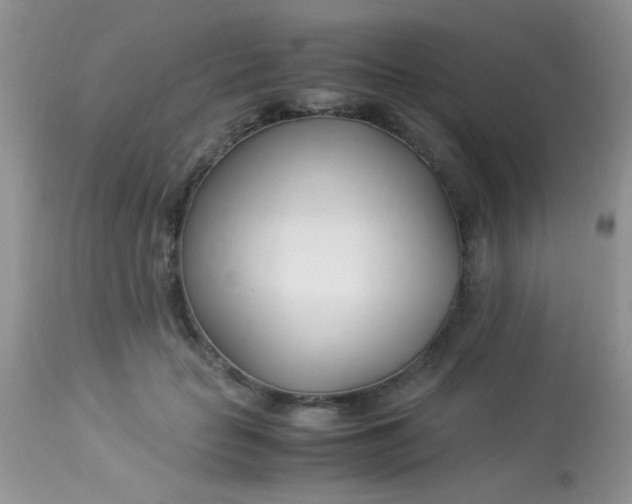 X0000113090653200909182115