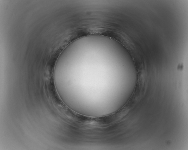 X0000113090655200909182115