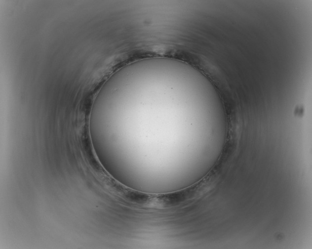 X0000113090656200909182115