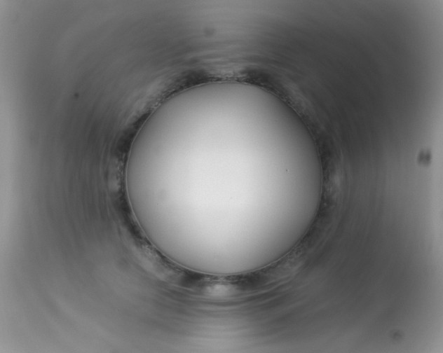 X0000113090658200909182115