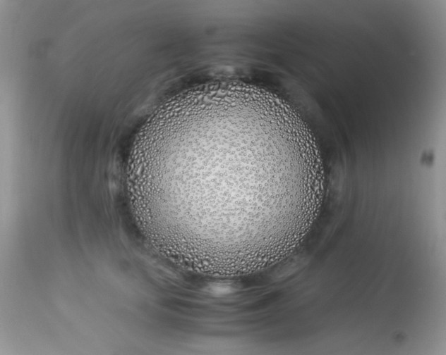 X0000113090659200909182115