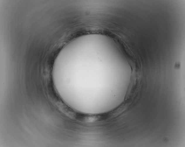 X0000113090662200909182115