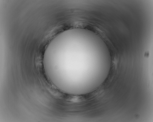 X0000113090663200909182115