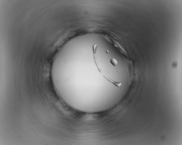 X0000113090664200909182115