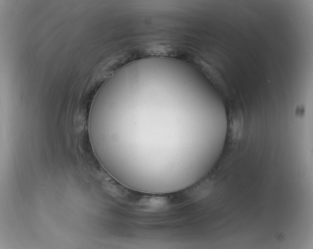 X0000113090665200909182115