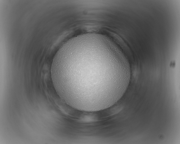 X0000113090667200909182115