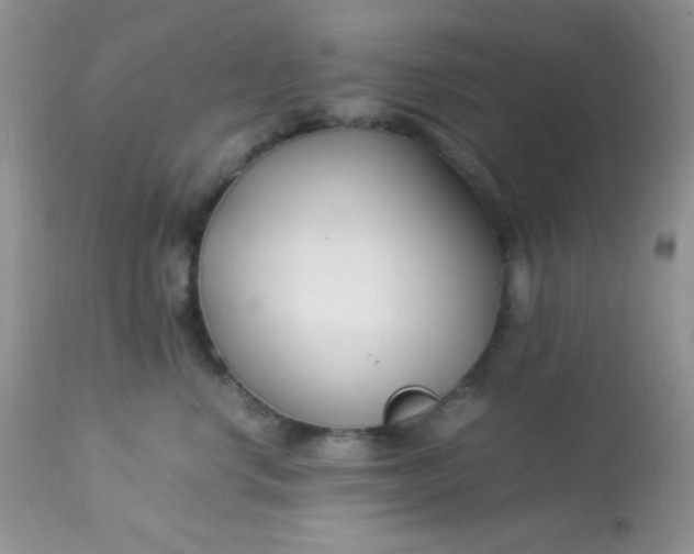 X0000113090668200909182115