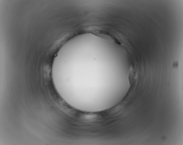 X0000113090669200909182115