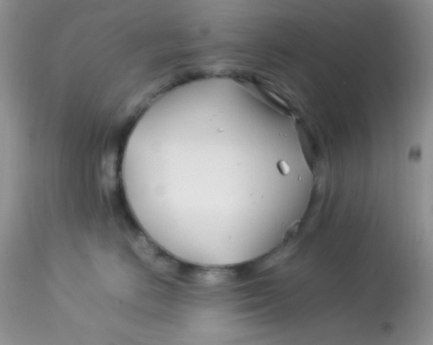 X0000113090670200909182115