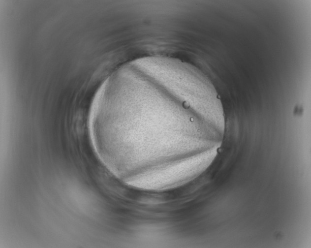 X0000113090671200909182115