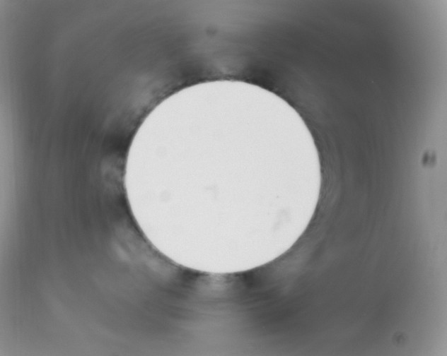 X0000113090672200909182115