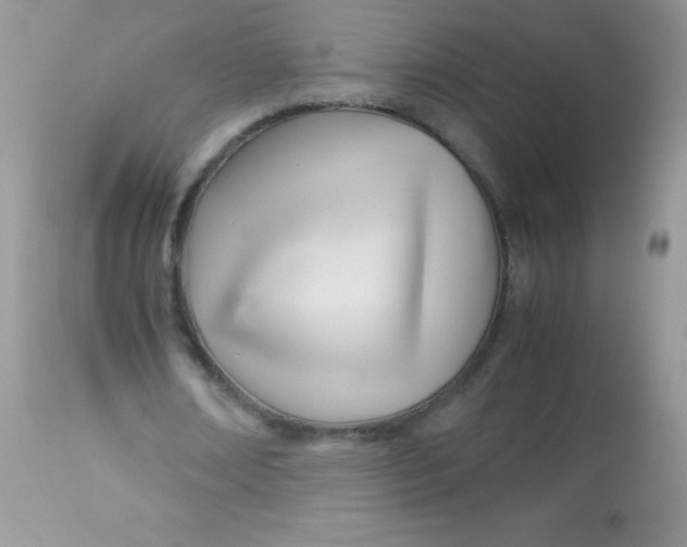 X0000113090674200909182114