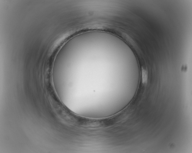 X0000113090675200909182114