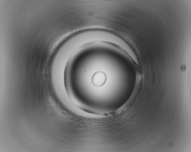 X0000113090676200909182114