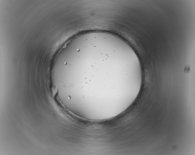 X0000113090677200909182114